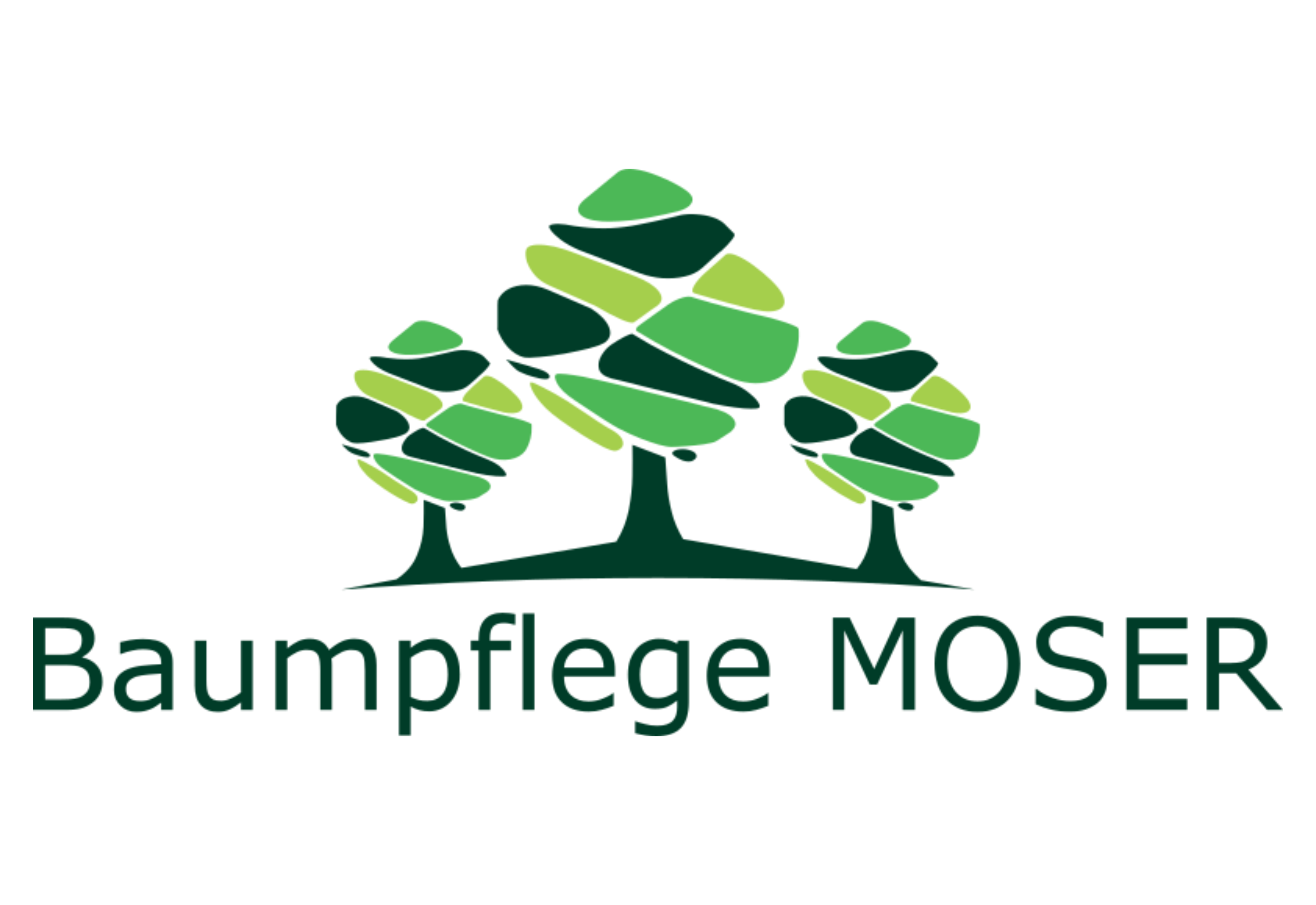 Baumpflege Moser